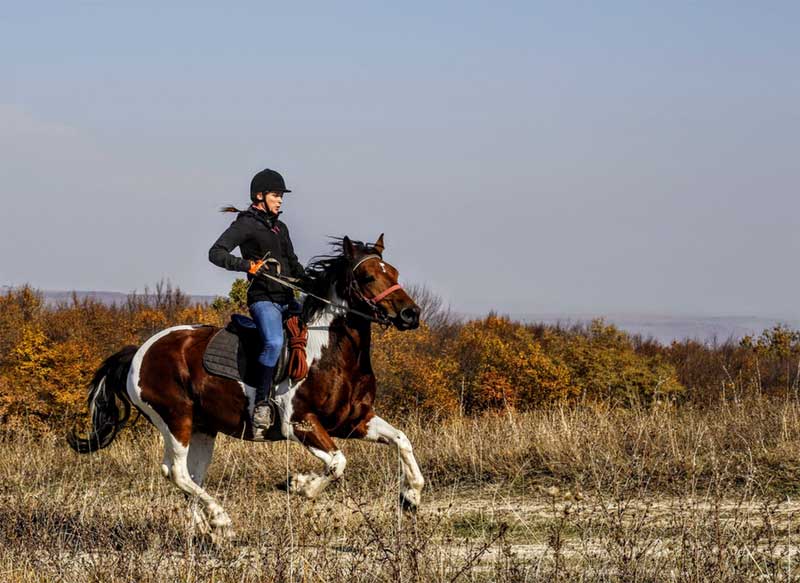 horse riding