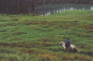 Horse Riding