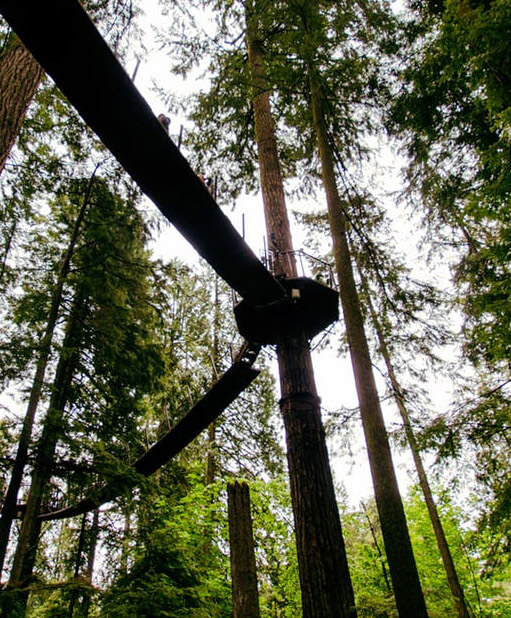 Tree Top Adventures